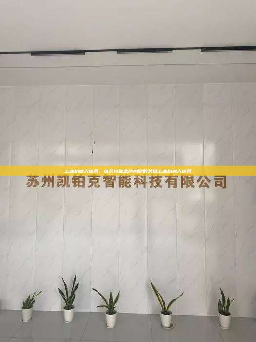 工業機器人保養,延長設備生命周期的關鍵工業機器人保養