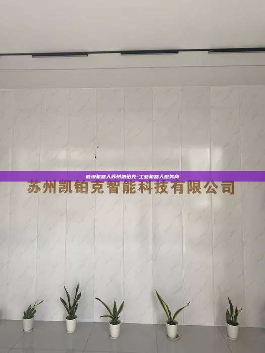 碼垛機器人蘇州凱鉑克-工業機器人服務商