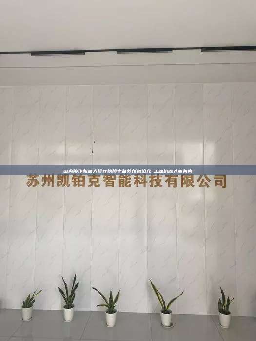 國內(nèi)協(xié)作機器人排行榜前十名蘇州凱鉑克-工業(yè)機器人服務(wù)商