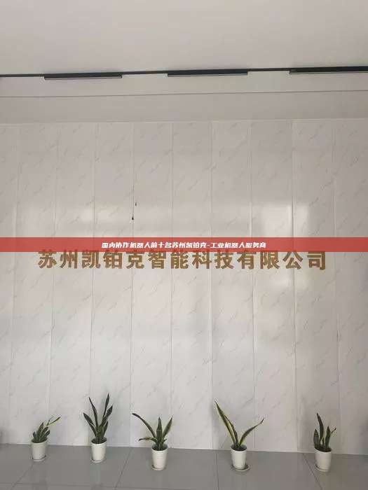國內協作機器人前十名蘇州凱鉑克-工業機器人服務商