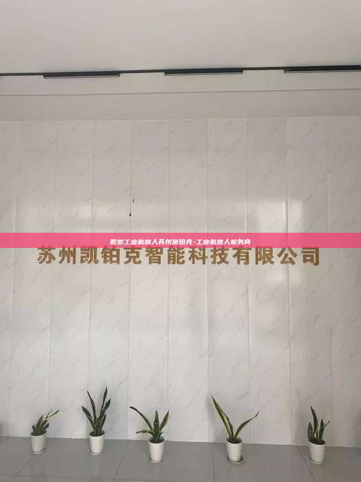 微型工業機器人蘇州凱鉑克-工業機器人服務商